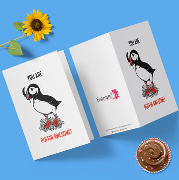 Puffin